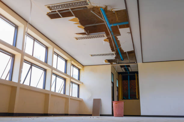 Best Water damage restoration services  in Frent Hills, MO