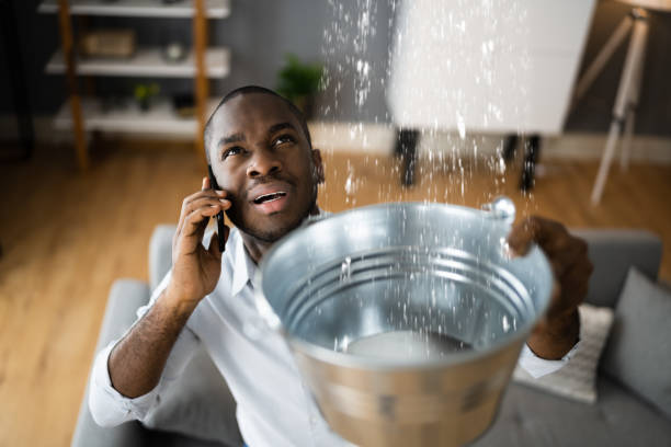 Best Water damage restoration near me  in Frent Hills, MO