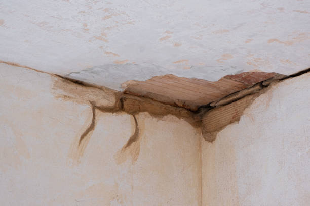 Best Flood damage cleanup  in Frent Hills, MO
