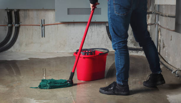 Best Water damage restoration process  in Frent Hills, MO