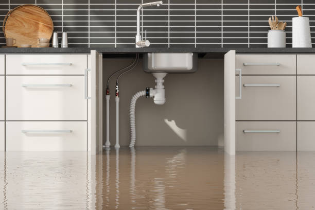 Best Commercial water damage restoration  in Frent Hills, MO