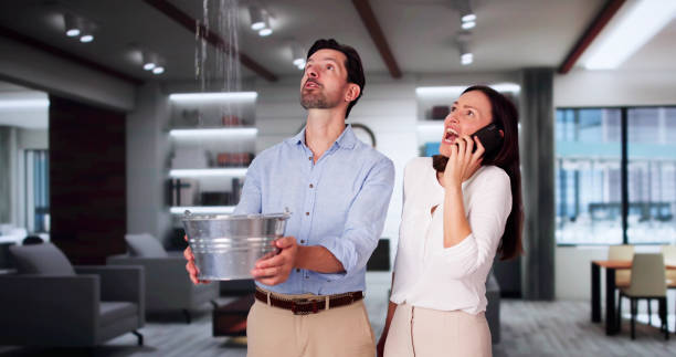 Reliable Fremont Hills, MO Water damage restoration Solutions