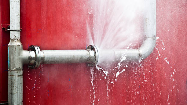 Best Basement water damage restoration  in Frent Hills, MO